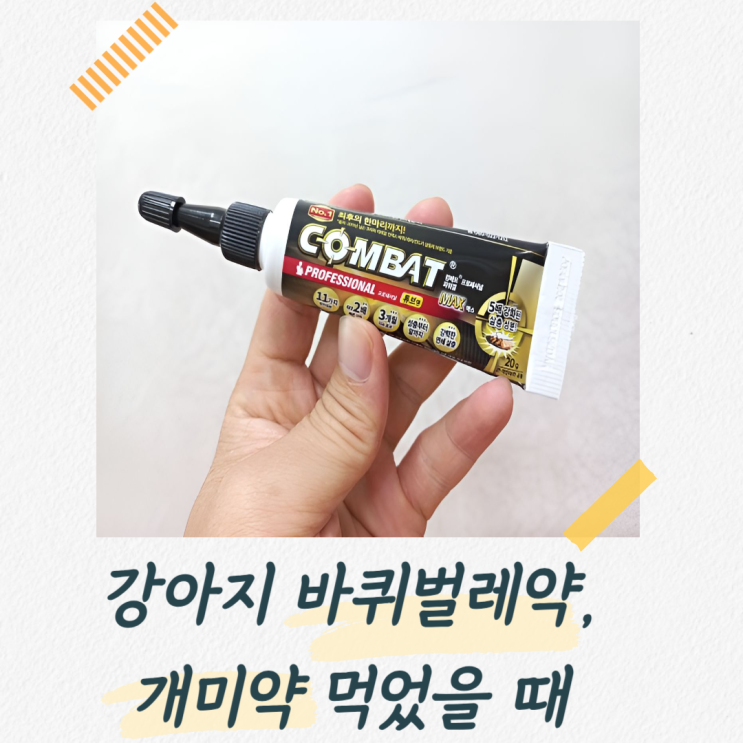  강아지가 바퀴벌레약이나 개미약 먹었을 때 어떻게 해야할까?