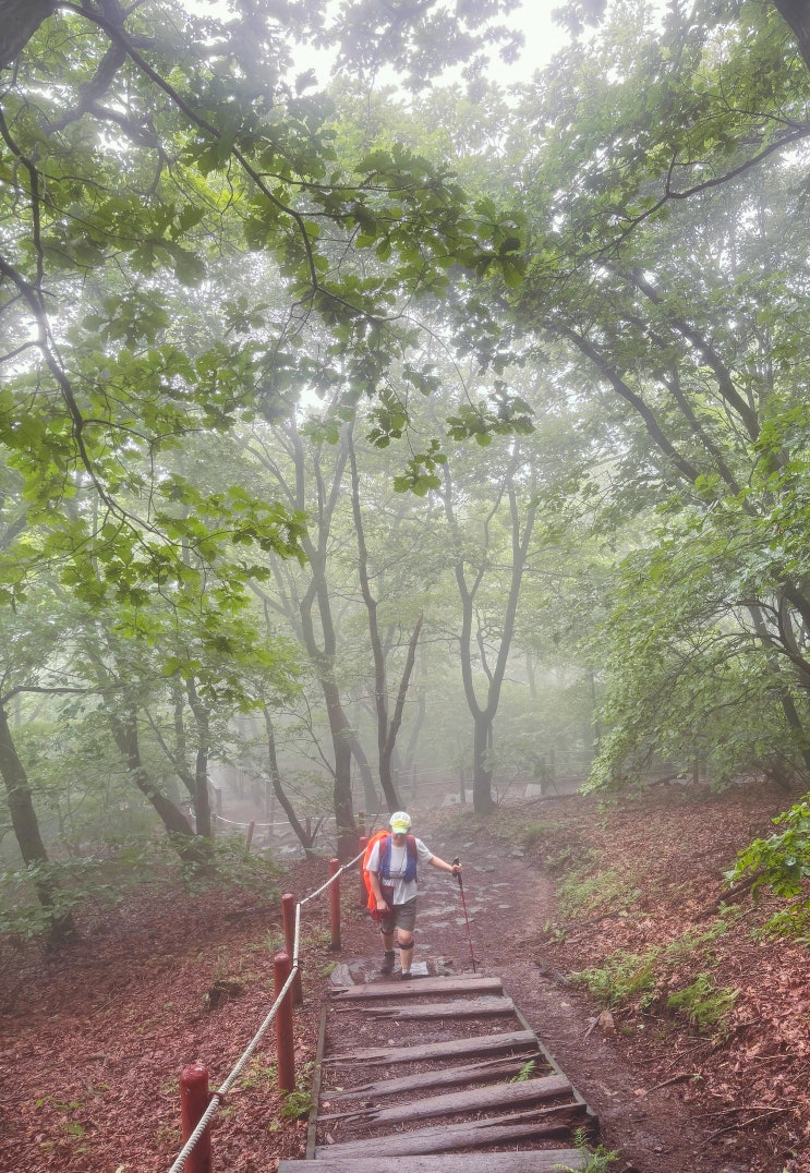  하남 검단산 주말 우중산행 (잘 정비된 길위에 신비로운 구름속을 걷다.)