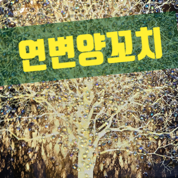  오색시장 연변 양꼬치, 풍부한 양고기 맛을 선보이는 주인의 노력과 손맛