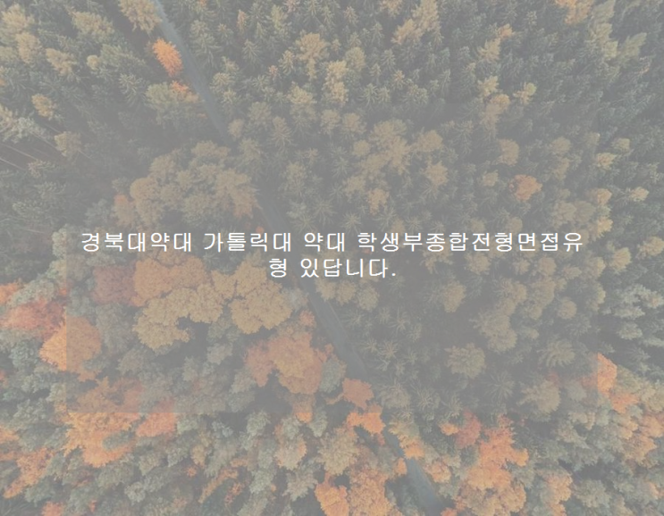 경북대약대 가톨릭대 약대 학생부종합전형면접유형 있답니다. 경북대약대 가톨릭대 약대 학생부종합전형면접유형 있답니다.