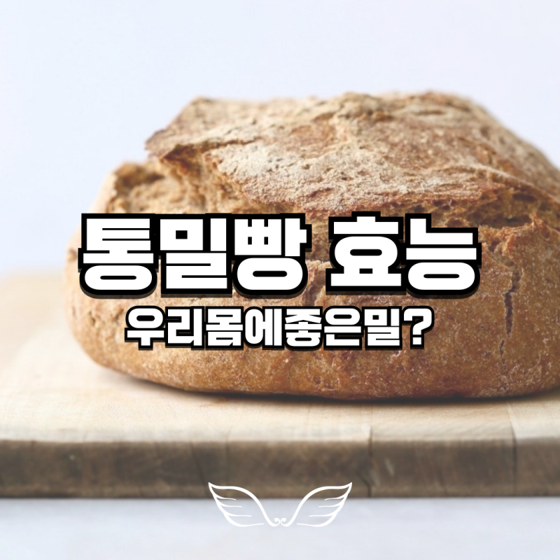 통밀빵 whole wheat bread 효능 통밀 호밀 rye 차이 영양성분