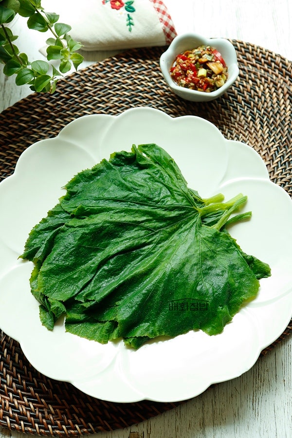 전자렌지 호박잎찌기 찌는법 호박잎찜 양념장 만들기
