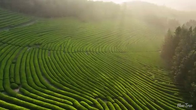  대형 웨딩박람회 스드메 패키지 비용 절약 꿀팁 : , 웨딩박람회에서 결혼준비 완벽히 알아보는 노하우