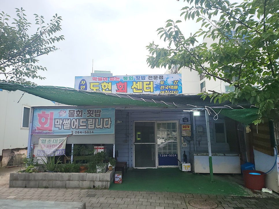 Dohyeonhoesenta photo 1