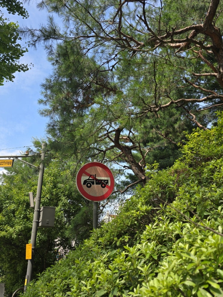  여름을 귀여워해야만