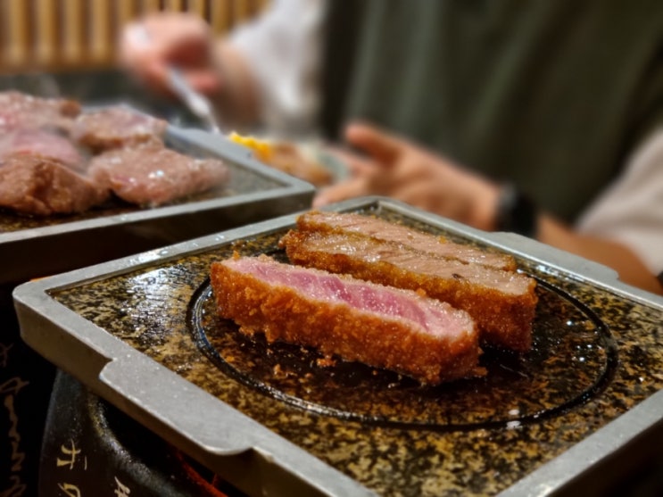  고기 가득한 한 주(돈까스,규카츠,한우)