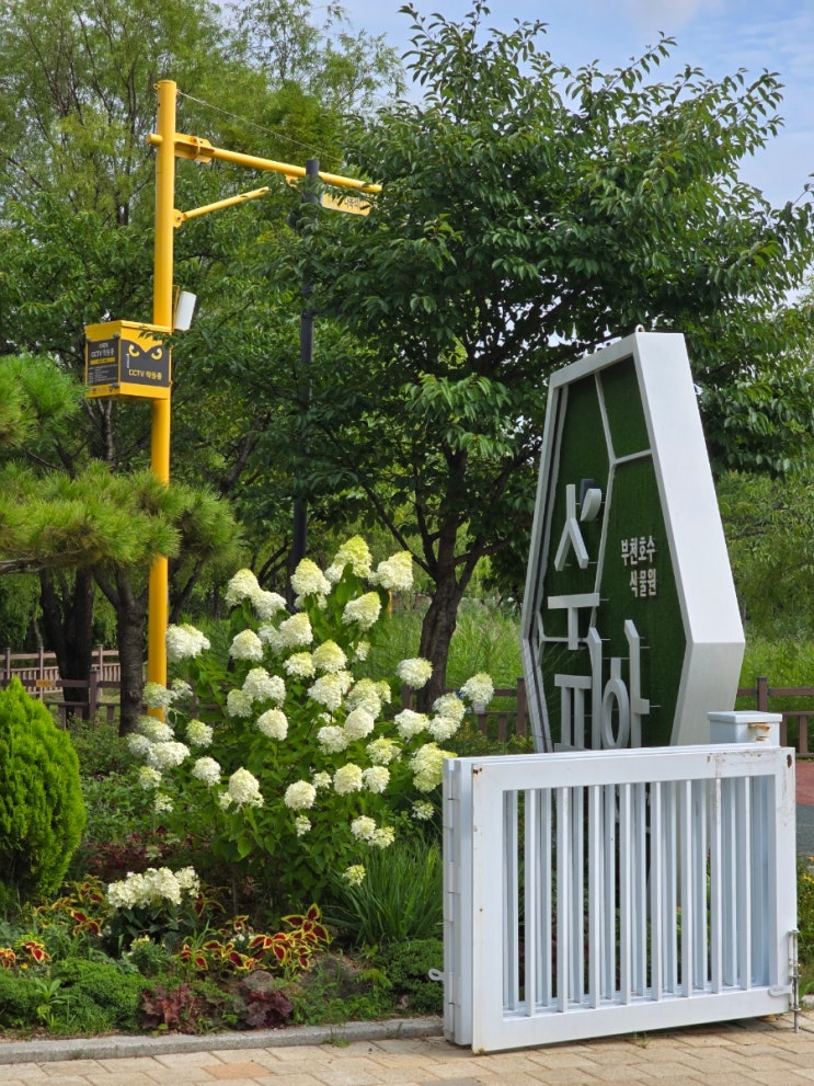  경기도 가볼만한 곳 : 부천호수 식물원 수피아