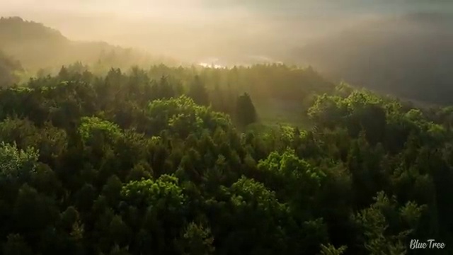  성동구 왕십리도선동 세면대구멍막힘 똑똑한 주부의 선택