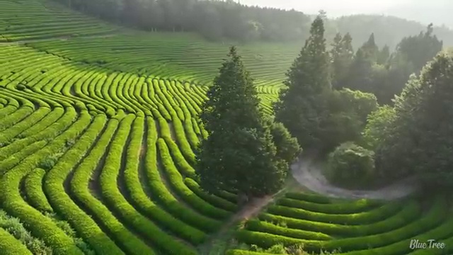  수산물품질관리원 자격증 , 취득한 노하우