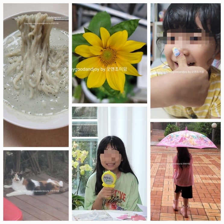 동탄 일상3_집에서 콩국수 만들기 우리집 길냥이 사진 어린이네일아트장난감 등 동탄 일상3_집에서 콩국수 만들기 우리집 길냥이 사진 어린이네일아트장난감 등