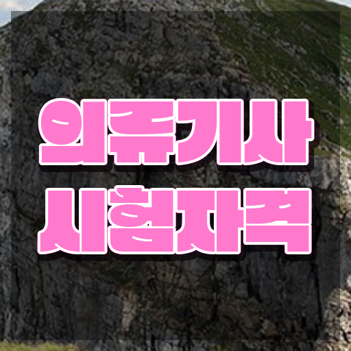  의류기사 취득자격 온라인 수업으로 15주 동안 성공한 후기