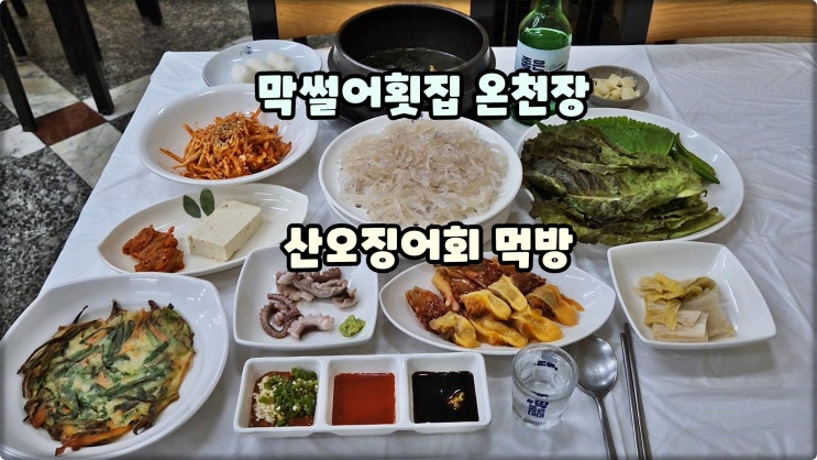 부산온천장횟집은 막썰어횟집 허심청맛집추천 산오징어회 먹방 부산온천장횟집은 막썰어횟집 허심청맛집추천 산오징어회 먹방