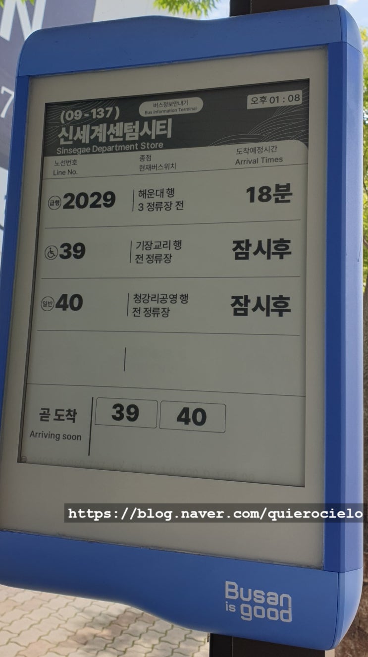  진짜 포덤