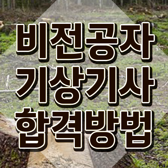  기상기사 시험자격 온라인 과정으로 단기간에 완료한 과정