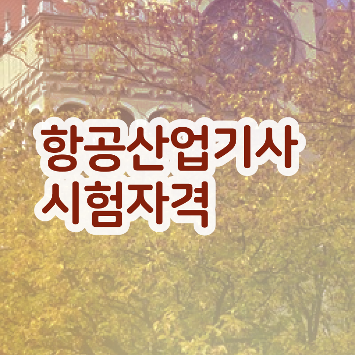  항공산업기사 필기 항공산업기사 시험응시조건 집에서 온라인으로 간단하게 완료한 과정