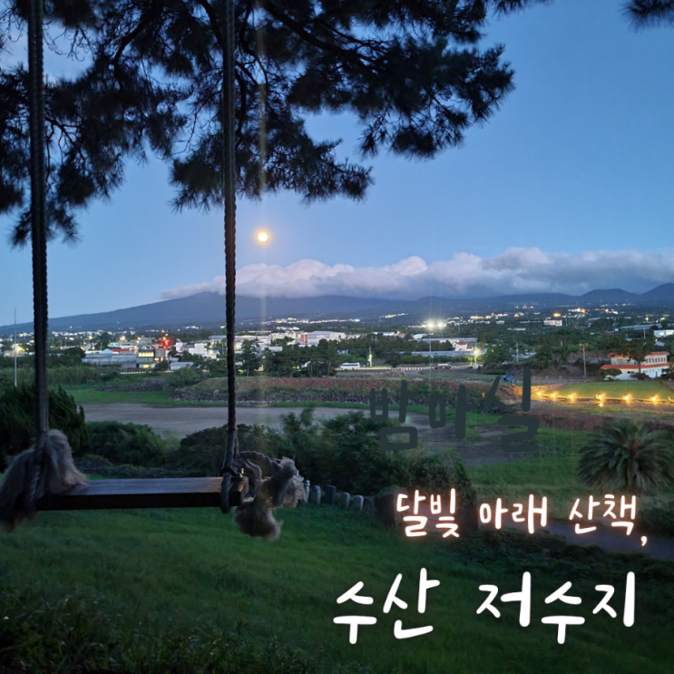  달빛 아래 수산유원지 제주 수산봉 그네
