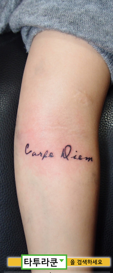  카르페디엠(carpe diem) / 팔 접히는 부분에 작업한 레터링 타투입니다/이리호 2014. 4. 14. 13:57