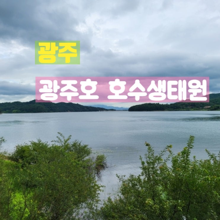  광주 산책하기좋은길 광주호 호수생태원 걸어봤어요
