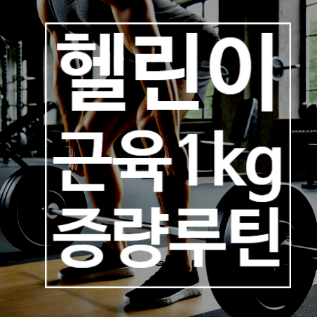  헬린이를 위한 근육1kg 키우는 루틴
