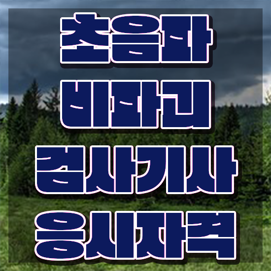  초음파비파괴검사기사 응시자격 인강만 듣고 단기간에 끝낸 방법