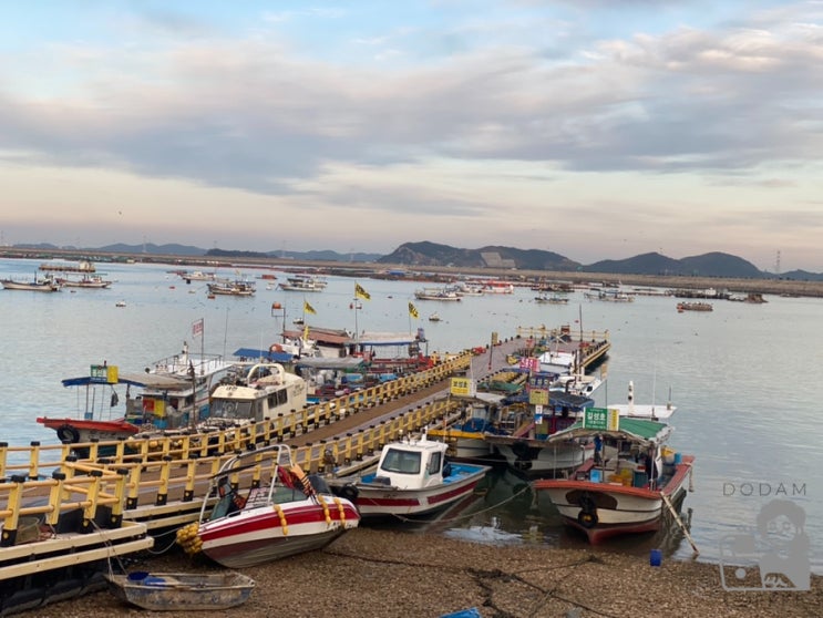 서산낚시여행ㅣ서산시 화곡리 삼길포항ㅣ선상 어시장