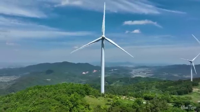  리스 합리적인 후기