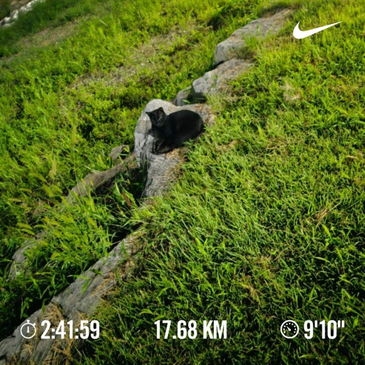 [챌린지]매일 10km  걷기/러닝 챌린지 1076일차