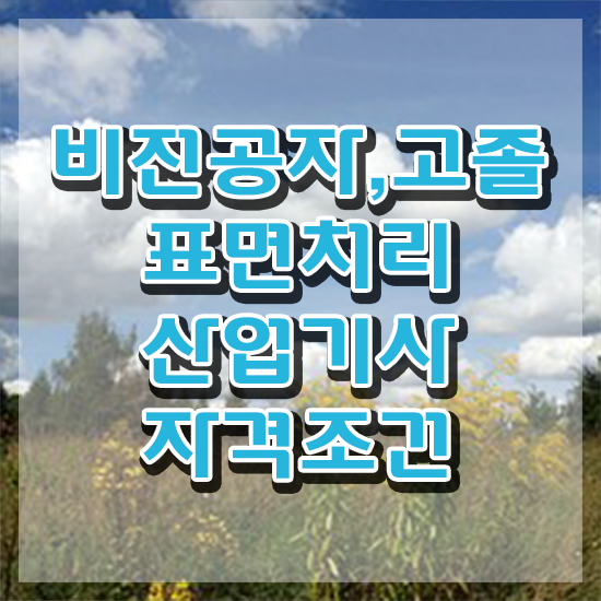  표면처리산업기사 시험응시조건 온라인 과정으로 4개월 만에 끝낸 비법