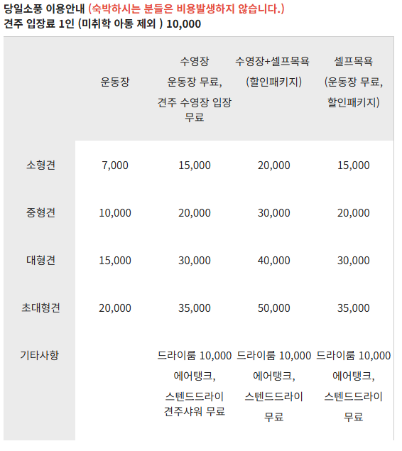 사진 10