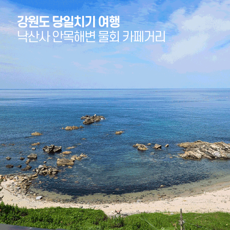  강원도 당일여행 낙산사 | 안목해변 카페거리 오션뷰 346커피스토리 | 강릉 천둥회와물회