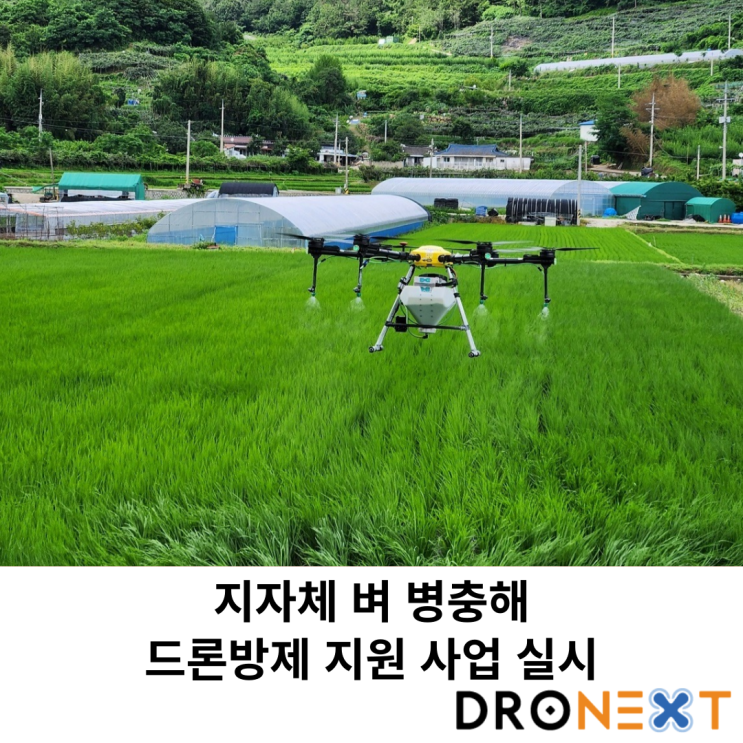  지자체 벼 병충해 드론방제 지원 사업 실시