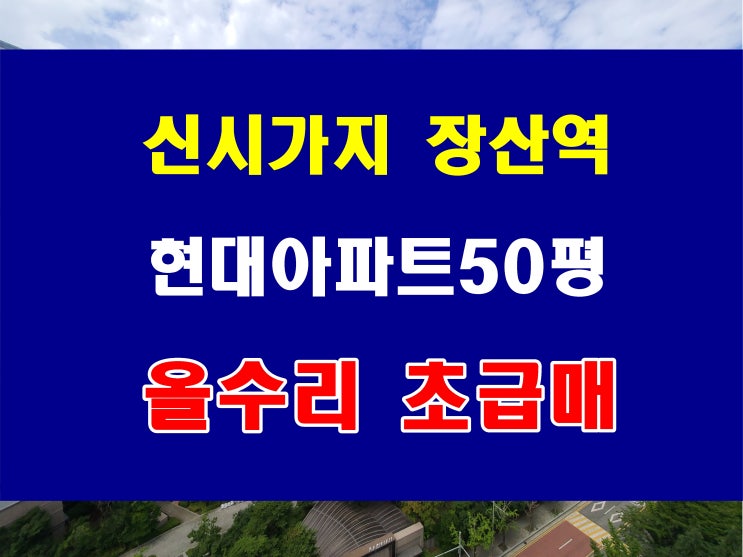  해운대 아파트 매매 좌동 아이파크 현대아파트 급매 올수리된 50평 정보
