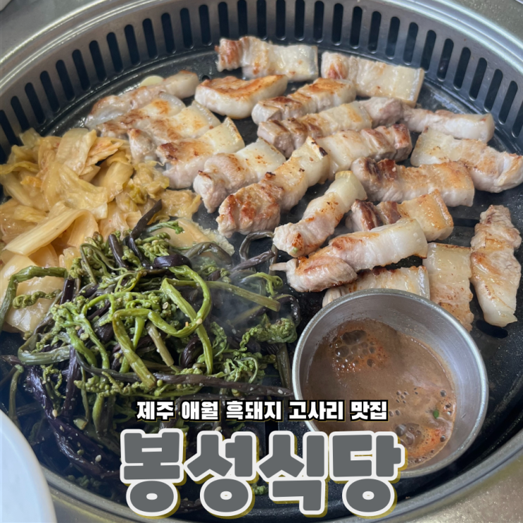  제주 애월 흑돼지 고사리 백김치 조합 맛집 봉성식당