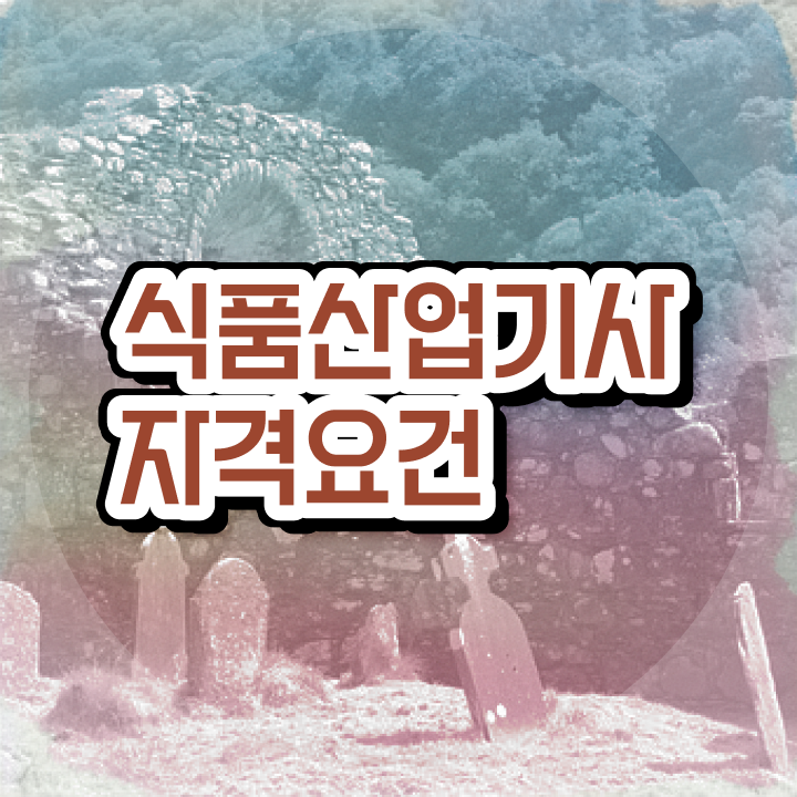  식품산업기사 필기과목 식품산업기사 취득자격 학점은행제로 단기간에 준비한 비법