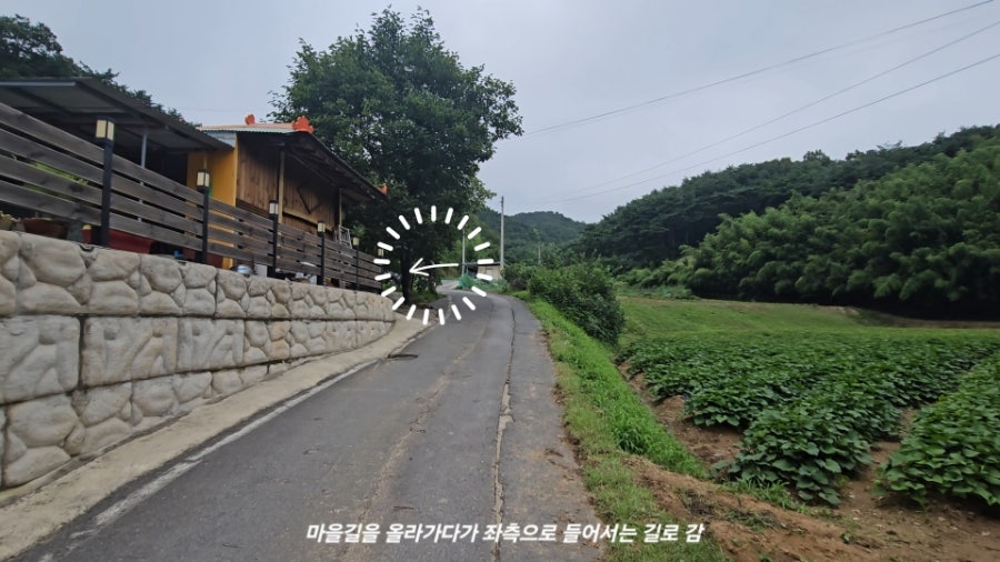 금계지 사진 4