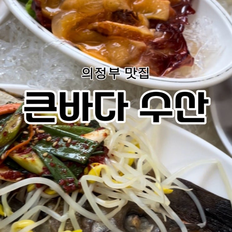  의정부횟집 큰바다수산에서 시원한 물회와 활어회까지~!