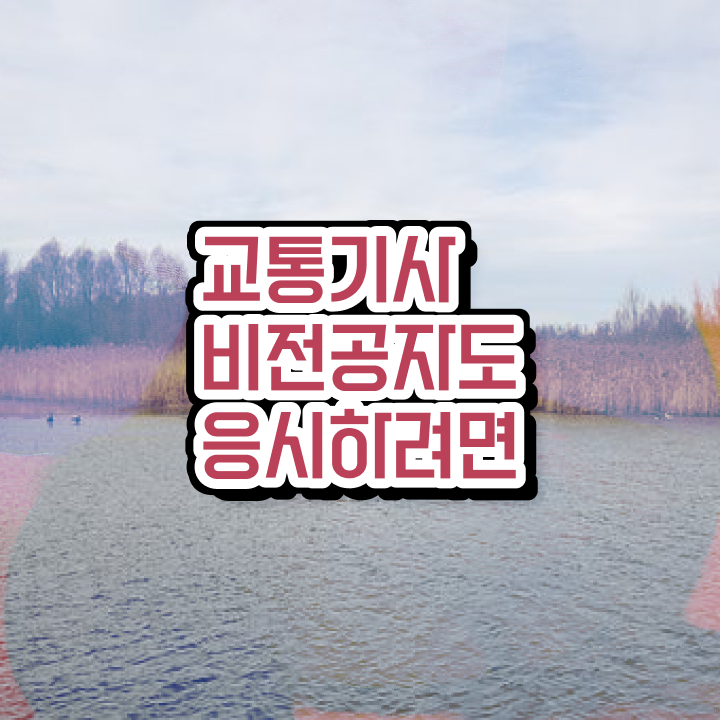  교통기사난이도 교통기사 취득자격 온라인 수업으로 반 년만에 성공한 후기