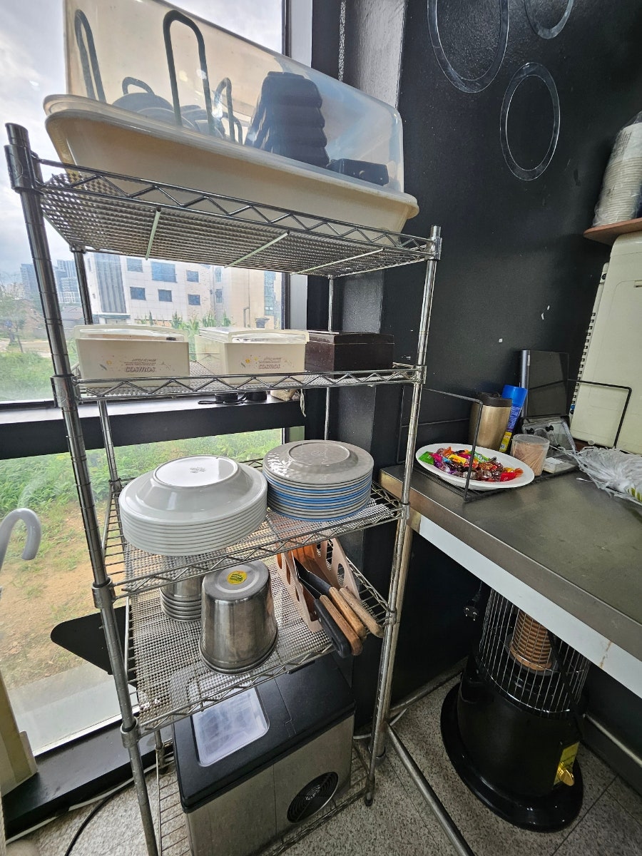 피치랑 사진 6