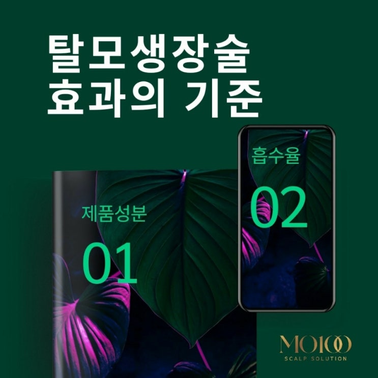  ◽탈모생장술 효과의 기준◽주르aa