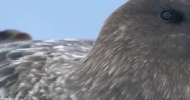  토목산업기사 취업 토목산업기사 응시조건 학점은행제로 편하게 준비한 방법