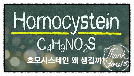 호모시스테인 수치 의미