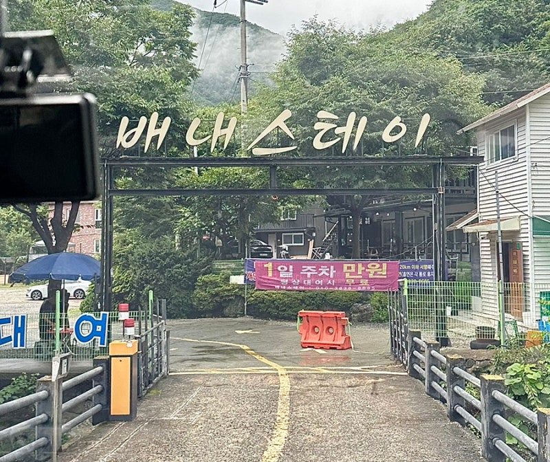 사진 5