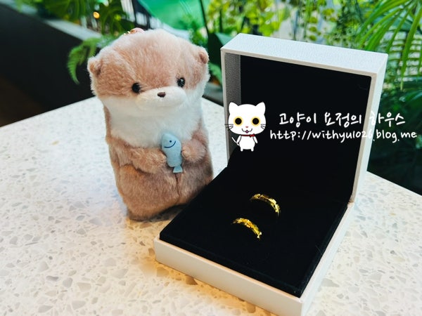  가성비 있게 합리적으로 결혼준비하기 13. 결혼예물 순금결혼반지(24k웨딩링) 구매&수령완료