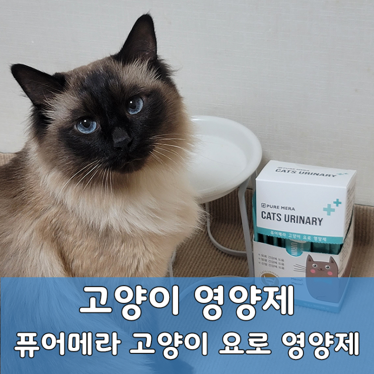  퓨어메라 고양이캣닢 츄르영양제 기호성 최고의 영양 간식