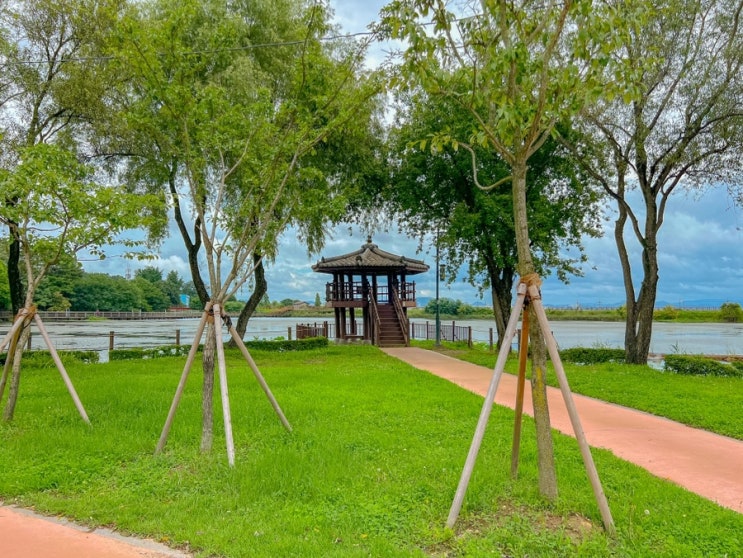  나주 가볼만한 곳, 대호수변공원, 아이들과 반려견과 함께 시간보내기 좋은 곳, 여름엔 바닥분수에서 물놀이가능