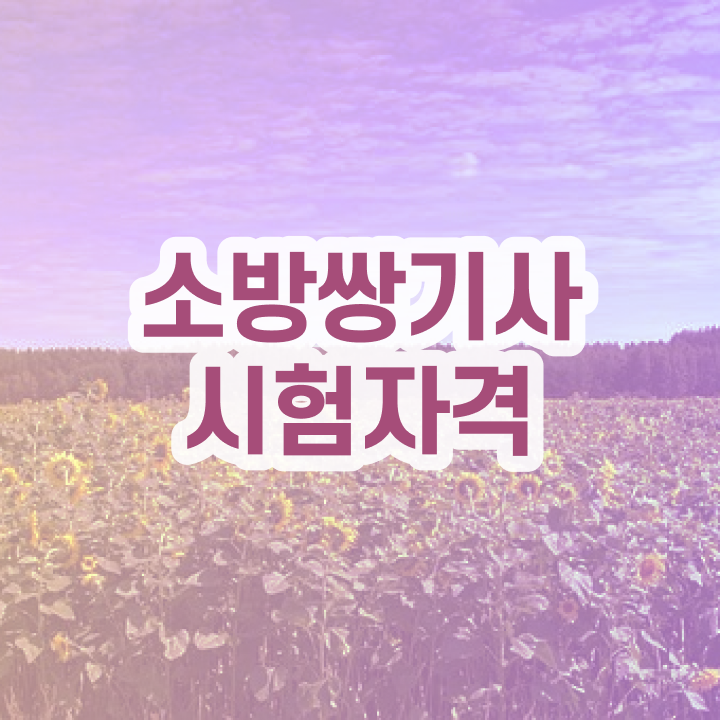  소방설비기사 전망 소방설비기사 시험응시조건 집에서 온라인으로 반 년만에 완료한 과정