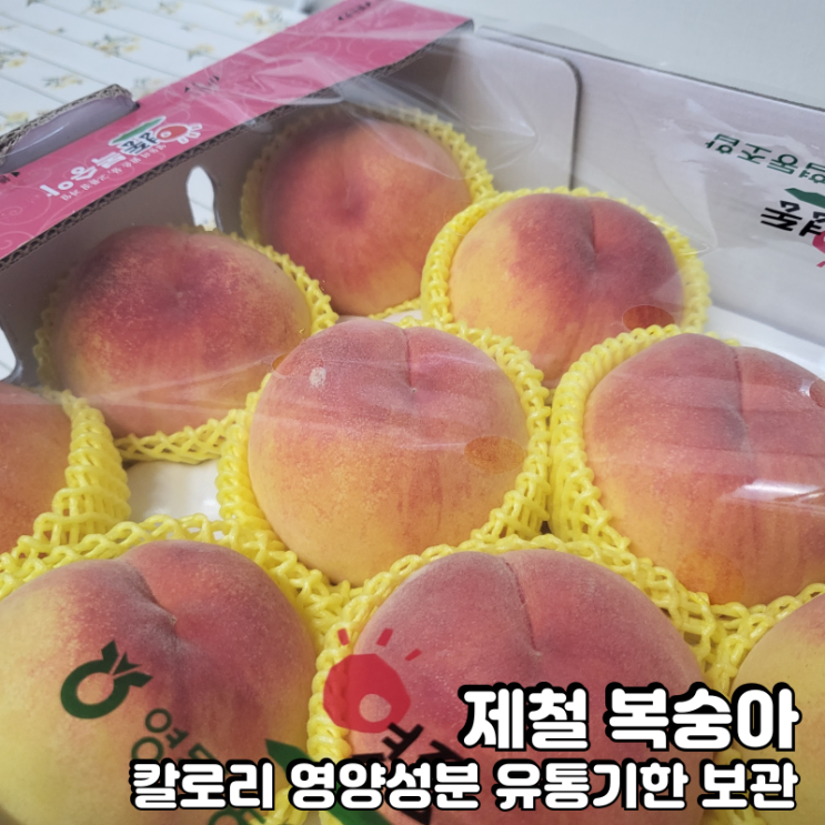  제철 복숭아 후숙 칼로리 보관 영양성분 유통기한