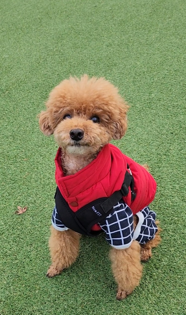  일상 포토덤프 5주차 : 일상 B컷