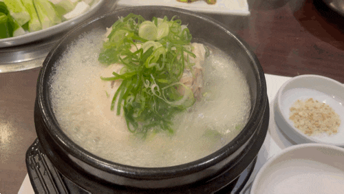  7월 셋째주 일상 (삼계탕, 먹부림, 나의 초능력)