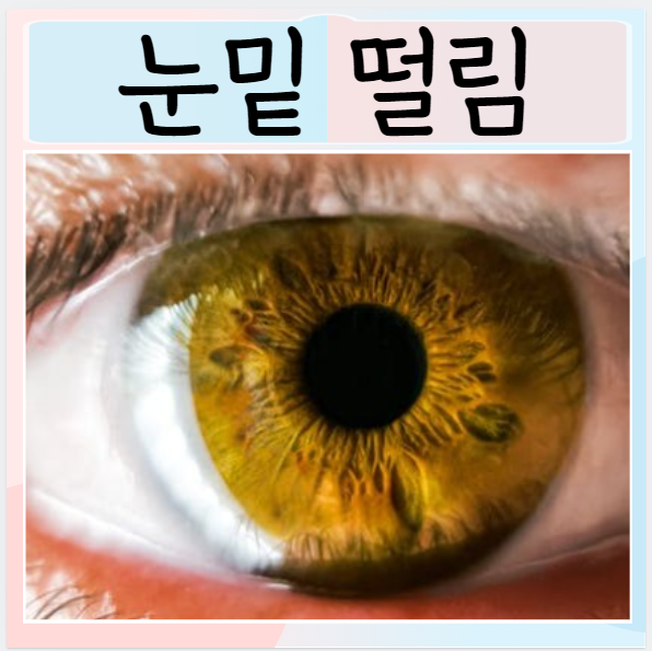  눈밑떨림 원인은? 대처방법 알아보기